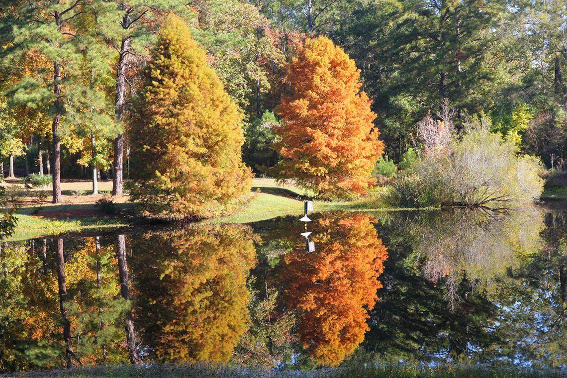 A pond on the property at Poco Sabo Plantation