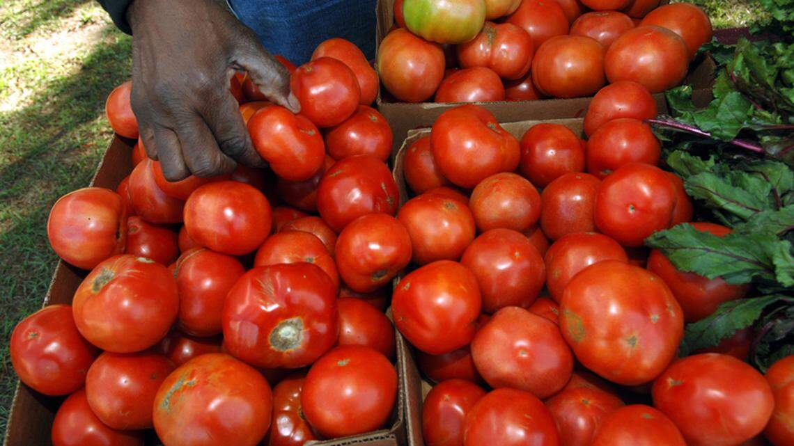 Shelter Cove Farmers Market to open
