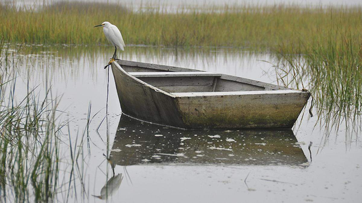 This cover photograph by Marci Tressel was taken on Broad Creek on Hilton Head Island. It is called "Bateau and Snowy Egret."