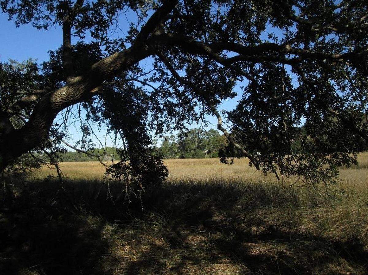 Beaufort County recently approved the purchase of more than 100 acres to preserve as a passive park on Lady’s Island. The property off Sams Point Road includes 2,200 feet along Rock Springs Creek (pictured).
