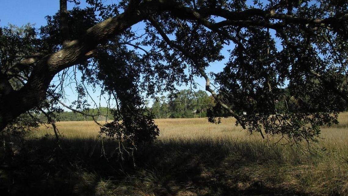 Beaufort County will spend $3M on more open park space. How would you use it?