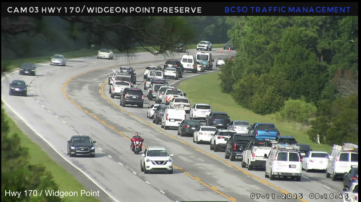 During rush hour Friday morning, a vehicle fire on Highway 170 on Lemon Island caused traffic delays.
