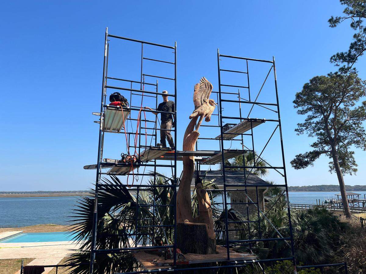 Scaffolding is needed for chainsaw sculpture Schris Lantz to reach the top reaches of a sculpture is carving for Steve and Valerie Prochnow of Beaufort.