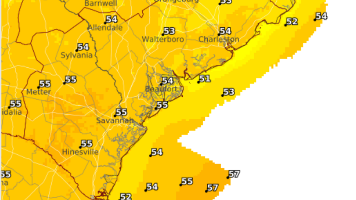 New Year’s Eve will be sunny with a high of 55 degrees, according to this projection from the National Weather Service in Charleston.