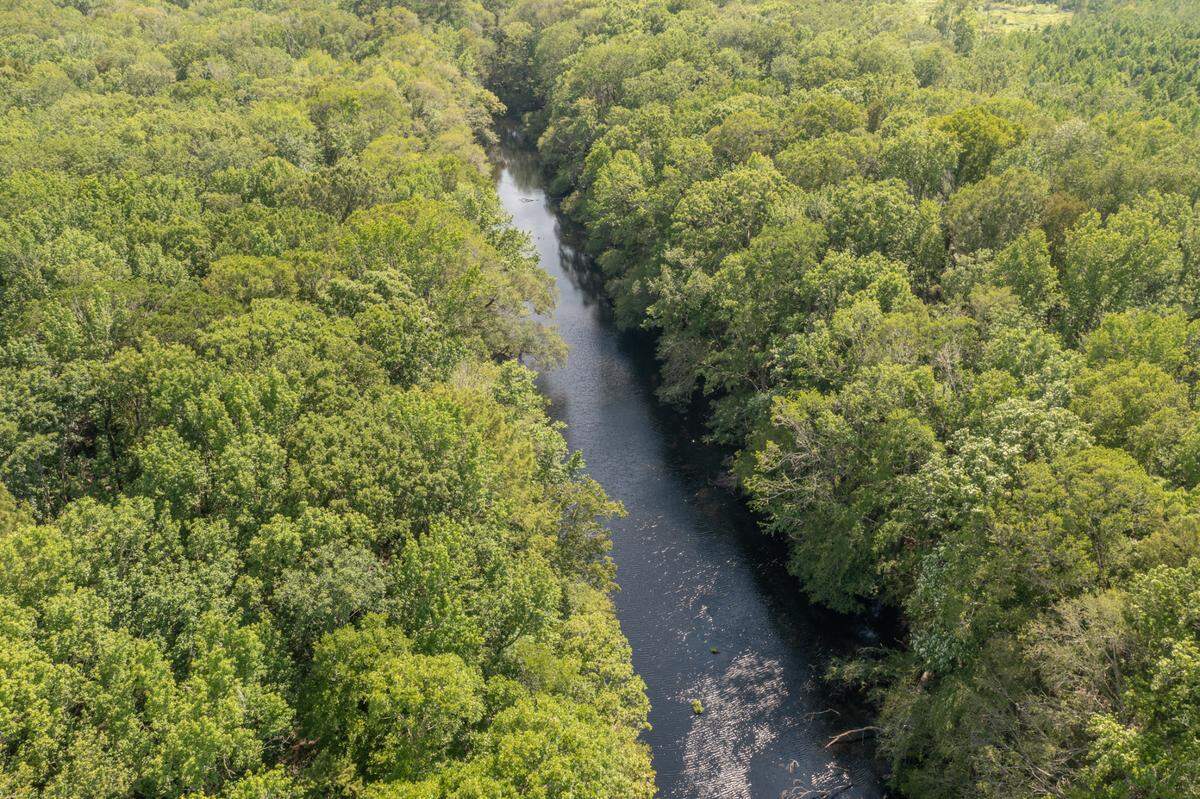 More than 7,000 acres in an area known as Buckfield in Hampton and Jasper counties in Coastal South Carolina’s Hampton and Jasper Counties will be permanently protected including 36 miles of river frontage on the Coosawhatchie River, shown here, and the Tulifinny River and many braided streams.