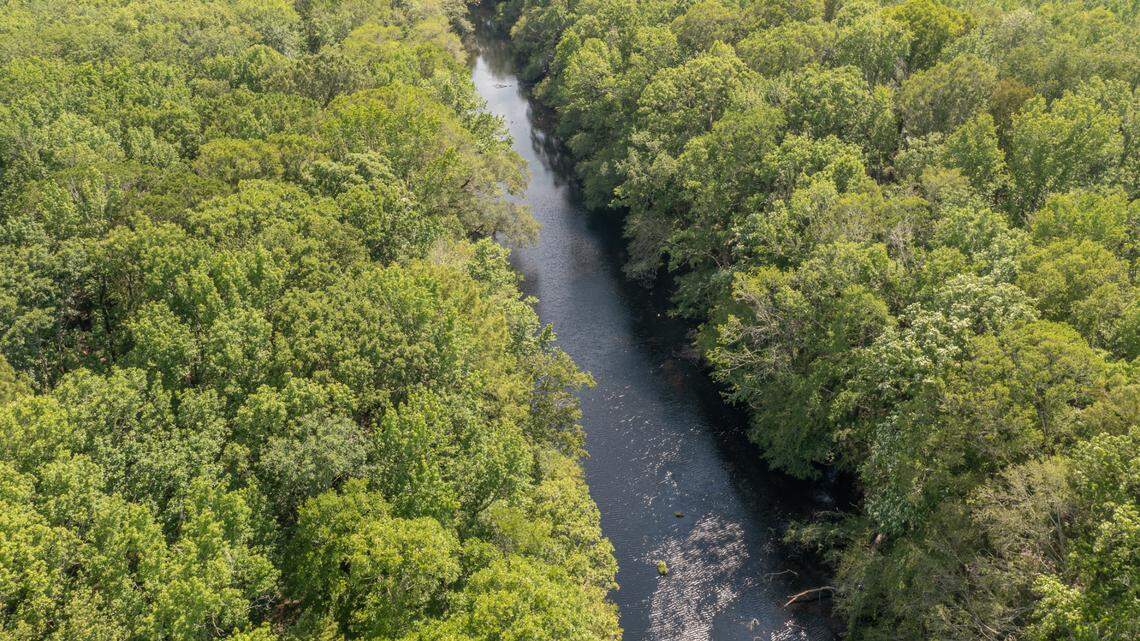 $50M buys 10K acres of Jasper, Hampton County land to serve as new heritage preserve