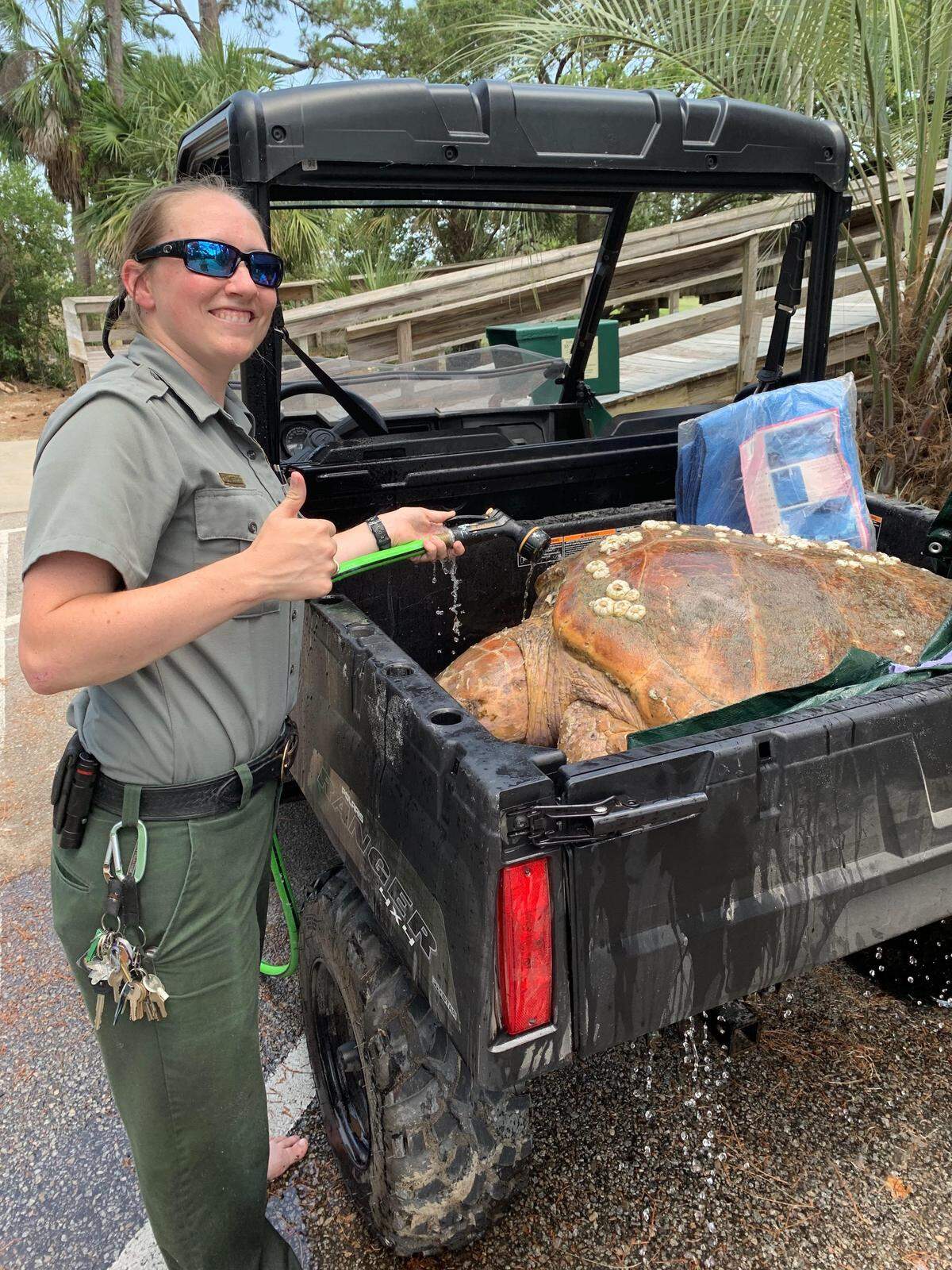 Megan Stegmeir, a ranger at Hunting Island State Park, poses with a loggerhead turtle after park officials rescued the animal after it became stranded on a sandbar Monday. The turtle was taken to the South Carolina Aquarium in Charleston for treatment.