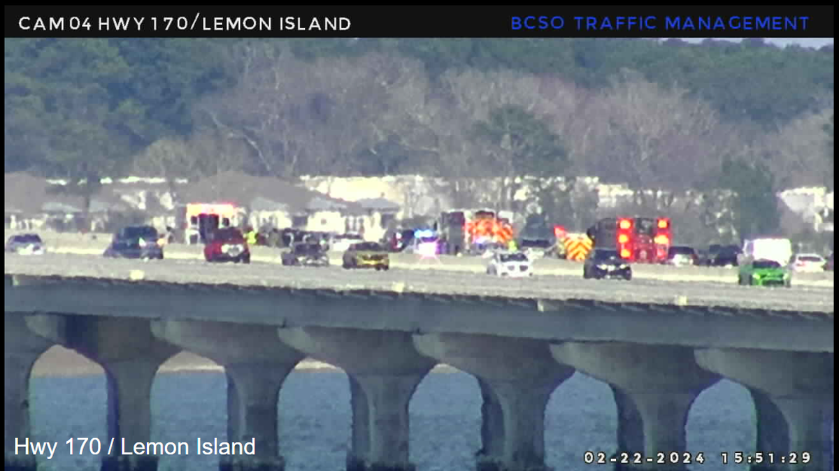 Beaufort County traffic cameras show ambulances on the Broad River Bridge.