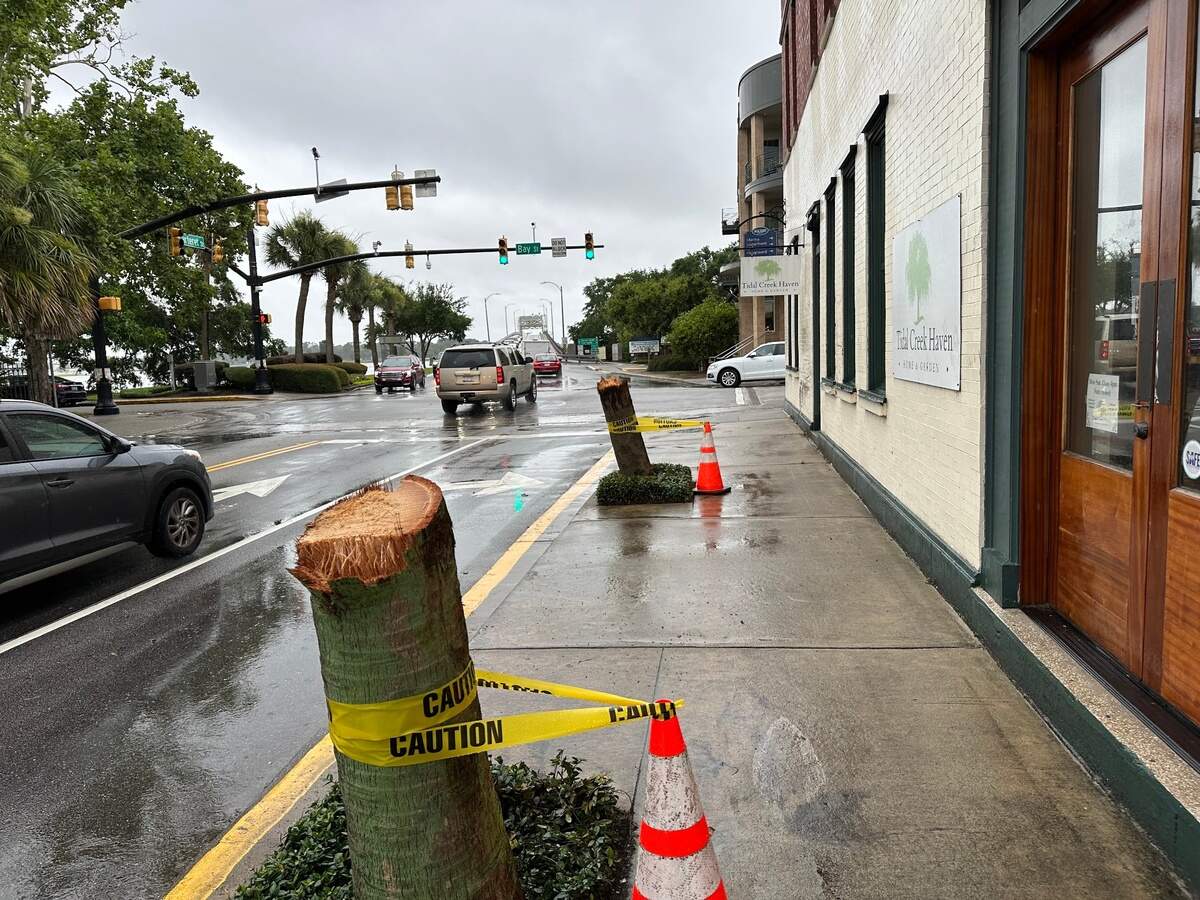 Tidal Creek Haven is still open for business following the early-morning collision, co-owner Courtney Tangalos told The Island Packet and Beaufort Gazette. Located at the corner of Carteret and Bay in downtown Beaufort, the family-owned lifestyle shop sells handcrafted furniture and home goods.