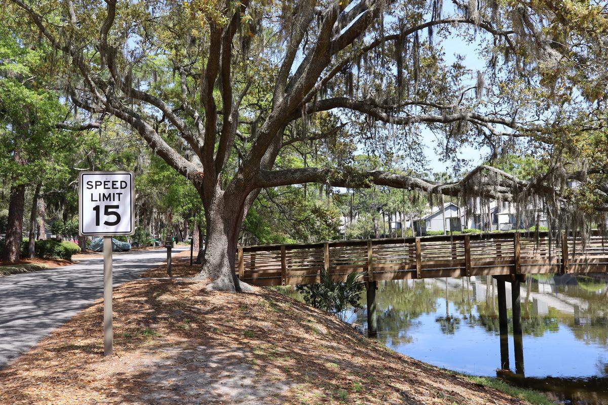 This photo taken on April 1, 2026, shows Beach Lagoon Road where a majority of homes in the neighborhood are near lagoons without fences or other barriers in Sea Pines on Hilton Head Island.