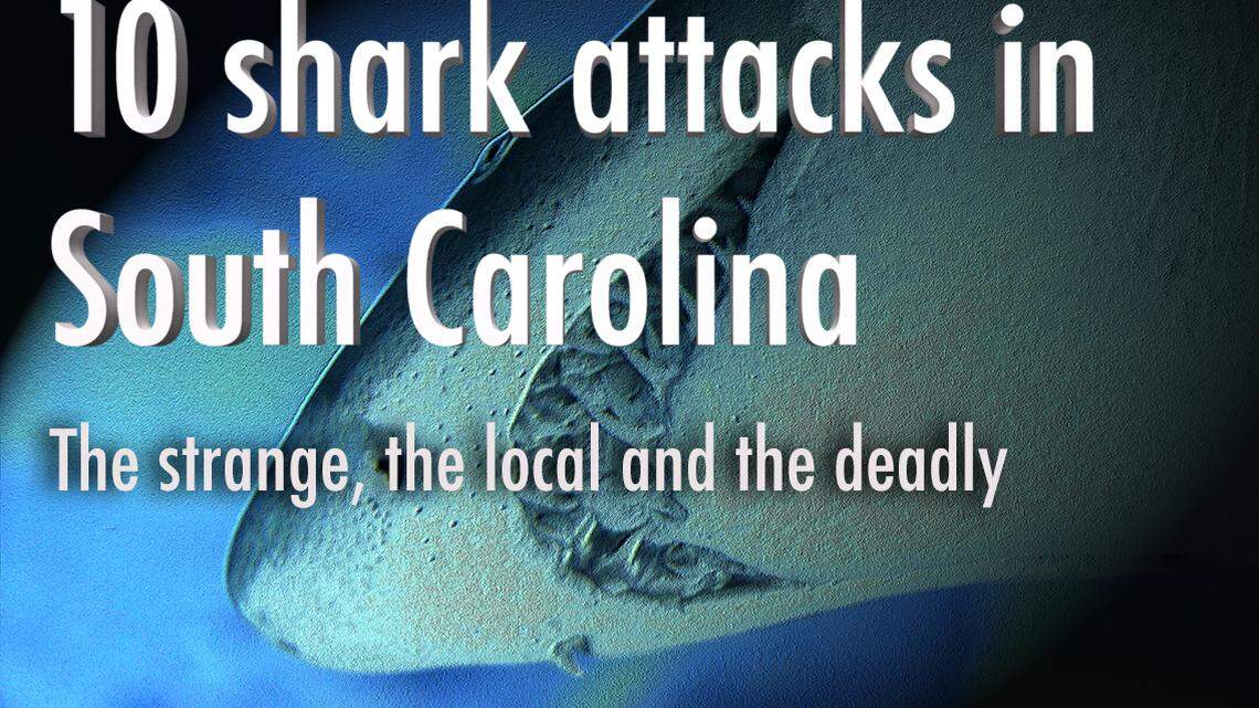 10 shark attacks in South Carolina: The strange, the local and the deadly