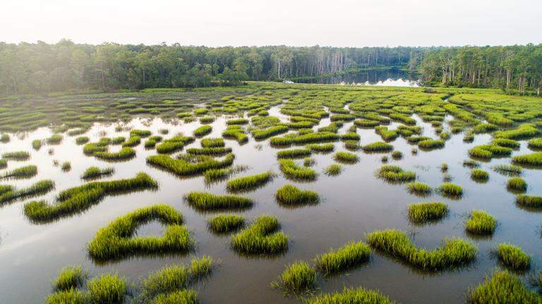 Photo gallery: Drone photos of majestic landscape, beauty of protected Clarendon, SC