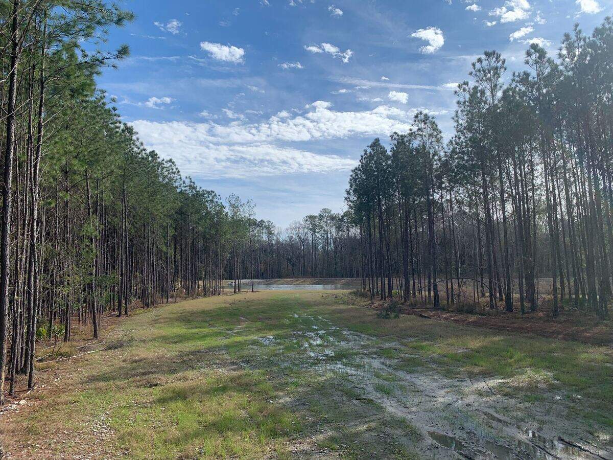 The evergreen tract, is where the county hopes to build a library. Currently only a retention pond has been built on the land.