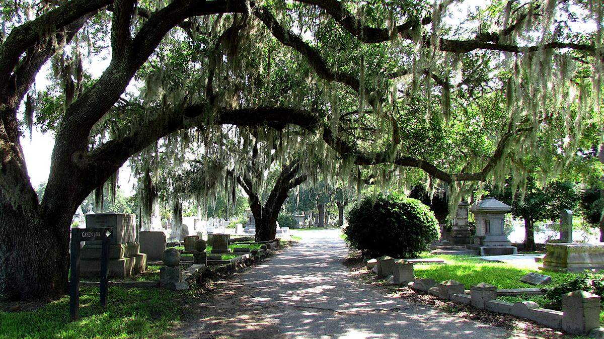 The oak-shaded avenues of Charleston’s Magnolia Cemetery carry you through decades of history amid an oasis of Lowcountry landscap