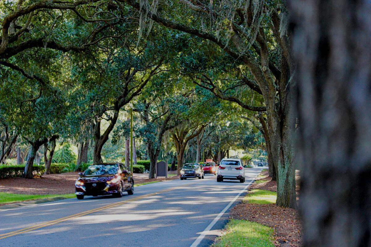 Oak trees line the entrance to Port Royal Plantation on Hilton Head as photographed on September 13, 2025. Most Hilton Head gated communities have their own set of rules for tree removals.