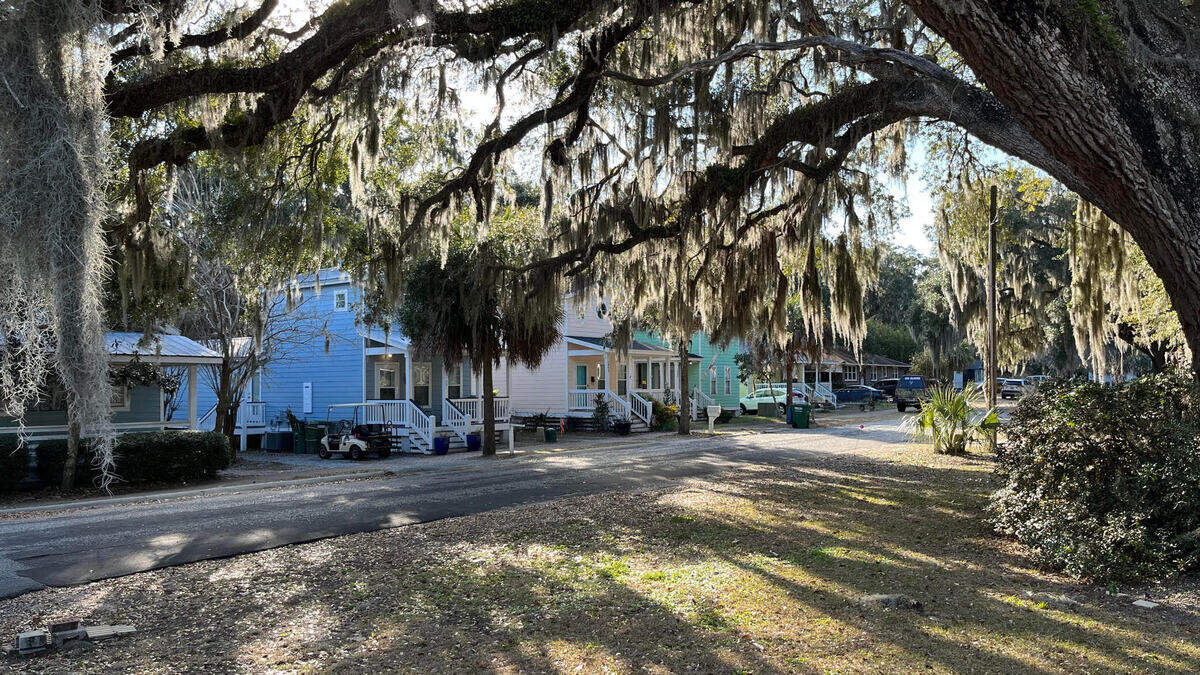 Port Royal’s trees have received new protections in higher mitigation fees for removing landmarks and specimens trees.
