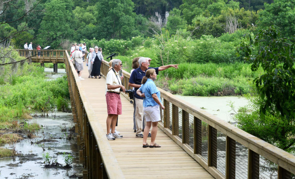 Ken Scott, pointing, a master naturalist with the Fripp Island Audubon Club, leads a group on a tour of the Town of Port Royal’s Cypress Wetlands on Tuesday following the dedication ceremony for the half-mile-long walking trail through the wetlands on Tuesday. In the wetlands park, boardwalks and pathways circle the wetlands, which feature an egret rookery in the spring and numerous other species wading birds and ducks, as well as a bald cypress and tupelo swamp.