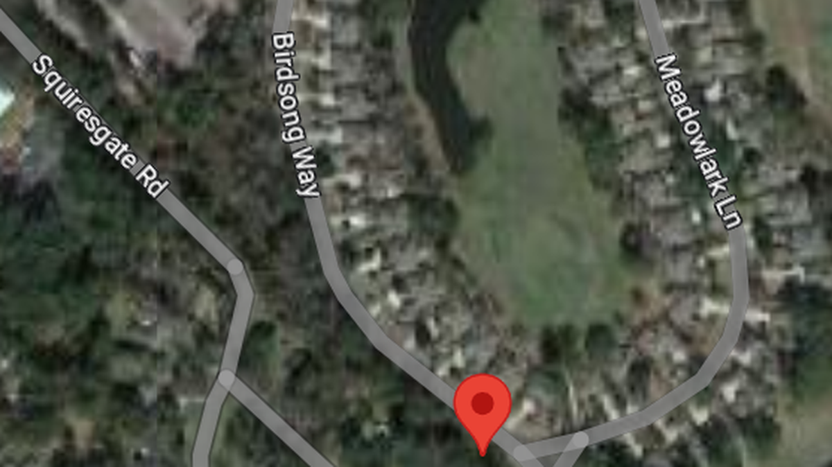 A 91-year-old driver was killed Monday evening after his car veered into the marsh along Birdsong Way, located in the Hilton Head Plantation gated community.