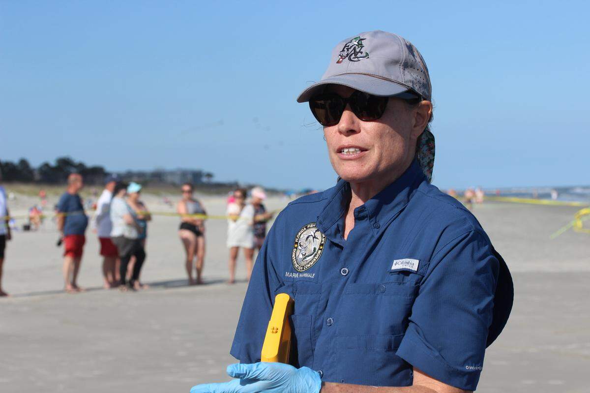 Nadia Lentz, a marine mammal biologist with Florida Fish and Wildlife, explains to beachgoers that the beached whale will have to be humanely put down. Because the whale is in poor health, if pushed back into the sea, it would likely wash up again somewhere else.
