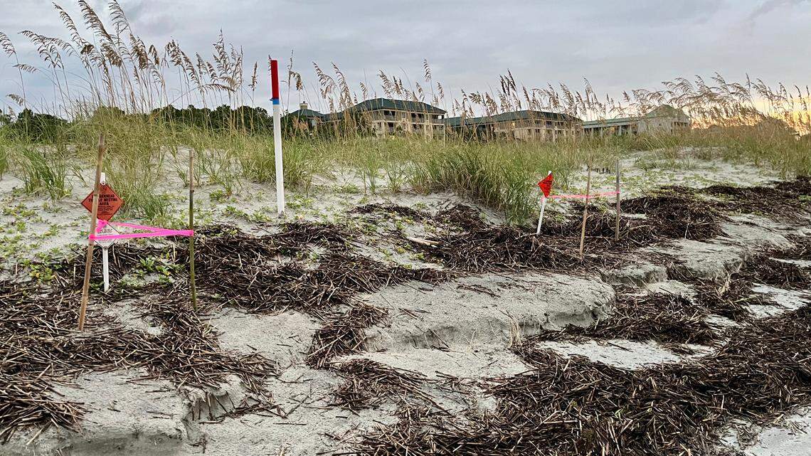 Hilton Head survived Idalia. The harder we work, the luckier we get