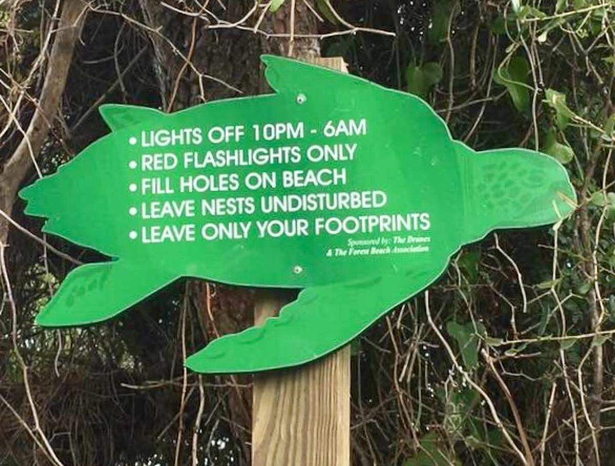 Signs in the Forest Beach neighborhood on Hilton Head Island bring attention to ways to protect loggerhead sea turtles nesting on the beach.