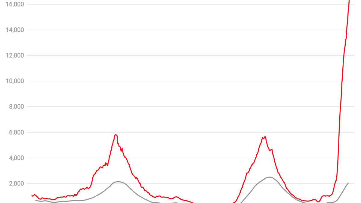 9 charts that will help you understand SC’s omicron surge