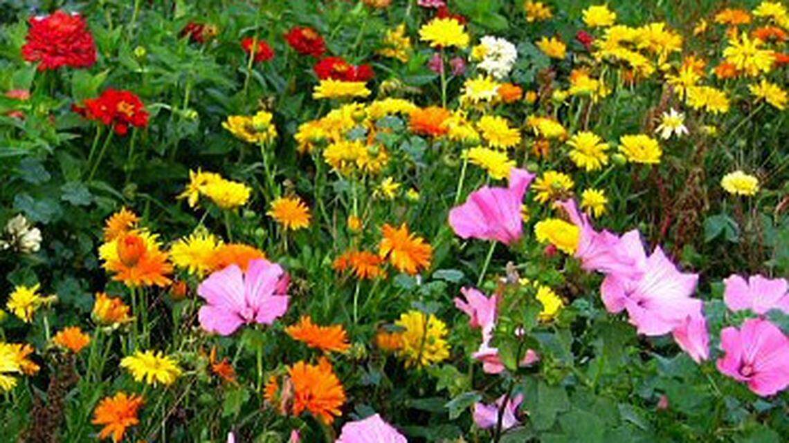 It’s spring — time to enjoy all the art, cultural events the Lowcountry has to offer