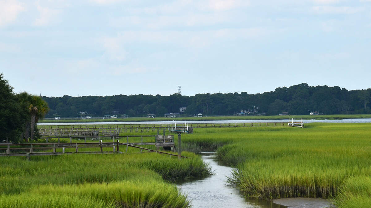 nwsDOCK0813sw01