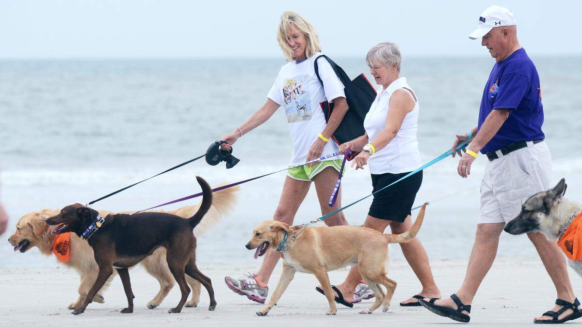 Participants and their owners head out as the Hilton Head Humane Association's 18th Annual Dog Walk on the Beach gets underway on Saturday at Coligny Beach Park. Clouds and the threat of rain did not deter a sizable crowd of people and their canine companions from making the half-mile fundraising walk.