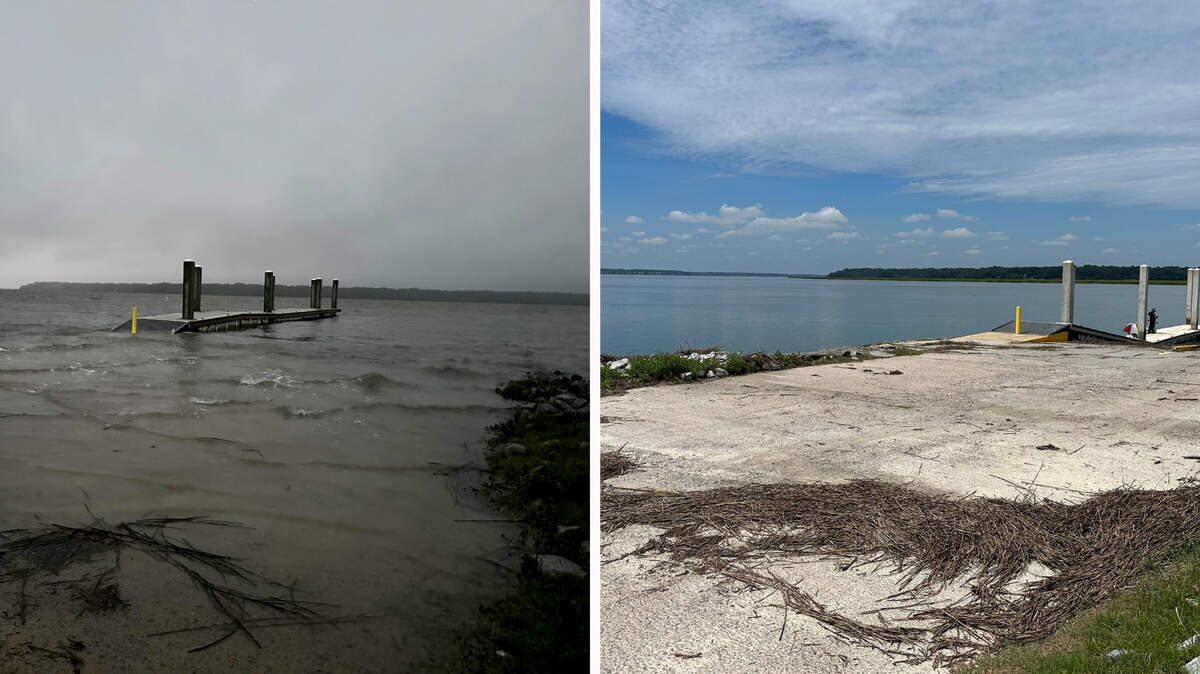 The H. E. Trask Sr. Boat Landing at the end of Sawmill Creek Road in Bluffton saw considerable water inundation from Hurricane Idalia during both the high and spring tide as well as Iadlia’s storm surge. The photo on the left taken on Wednesday at 8:10 p.m. shows part of the landing underwater. The photo on the right, taken the next day at 1:25 p.m. as the river was nearing low tide, shows how high the tide reached by the remaining reeds left on the landing. The boat landing gives users access to the Colleton and Chechessee rivers.