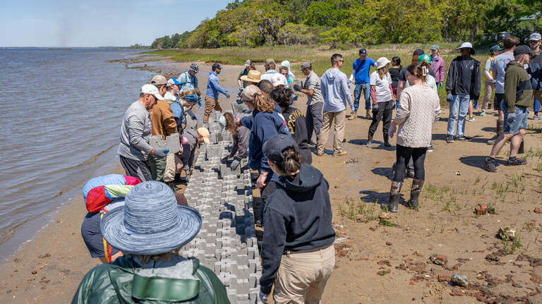 Photos: Volunteers and Marines build oyster castles at Beaufort military housing base