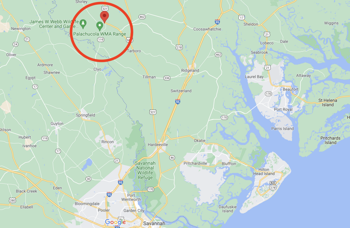 Circled in red, Hamilton Ridge WMA and Webb WMA are located with Palachucola WMA in Garnett, South Carolina