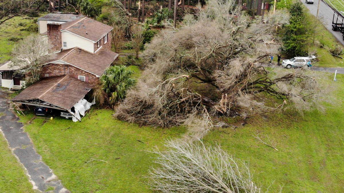 A live oak tree, right, planted as children by Don Mole, 48, and his brother (not pictured) lies fractured in two – perhaps saving the family home from more severe damage – on Wednesday a day after a likely tornado came through Allendale County. No one in the house was injured and the majority of damage was the car port that collapsed onto the family vehicles.