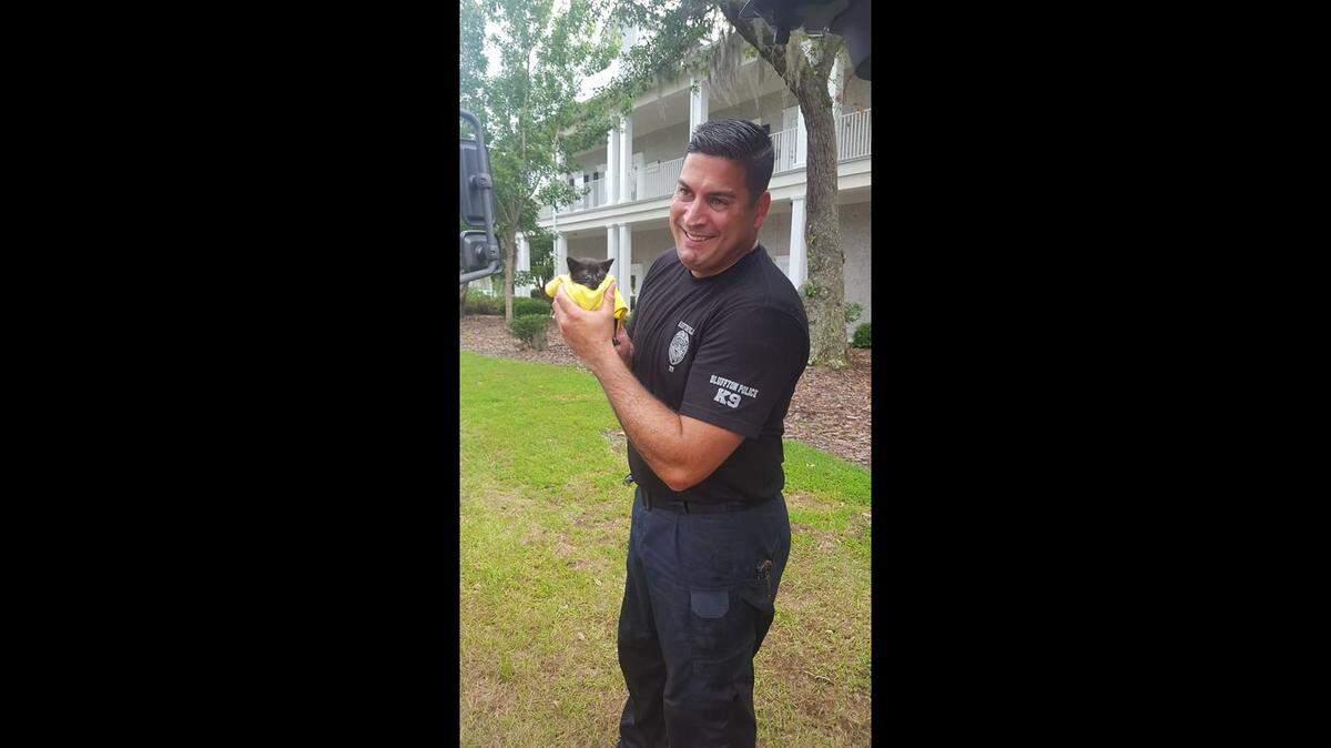 Bluffton Police Department and Bluffton Township Fire District helped a group of people rescue a kitten from a drain on Plantation Park Drive Tuesday afternoon. Officer Jason Rodriguez hols the kitten after jumping down into the storm drain after it.