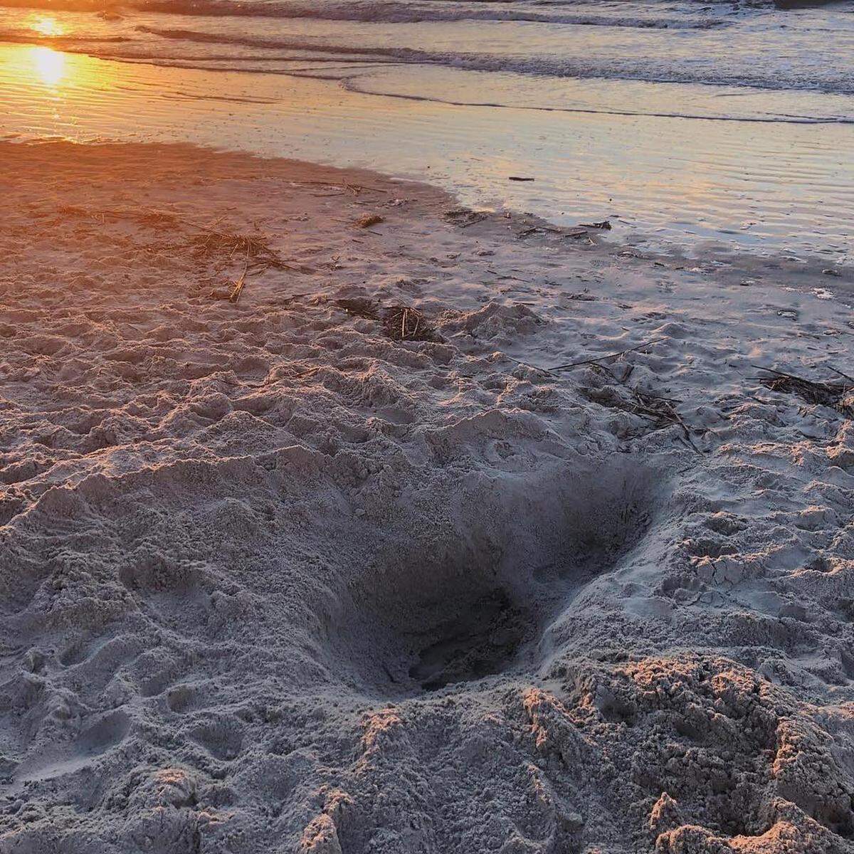 A hole on Hilton Head’s beach at sunrise. These types of large holes, if left unfilled, threaten sea turtles that are making their first journey to the ocean.