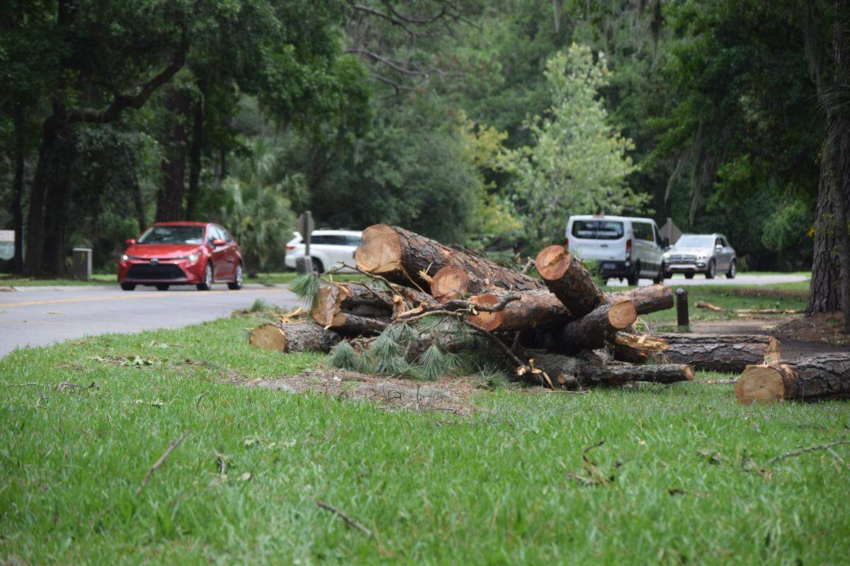 Parts of a downed tree were heaped in a pile in Sea Pines after Tropical Storm Elsa hit Beaufort County on Thursday, July 8, 2021.