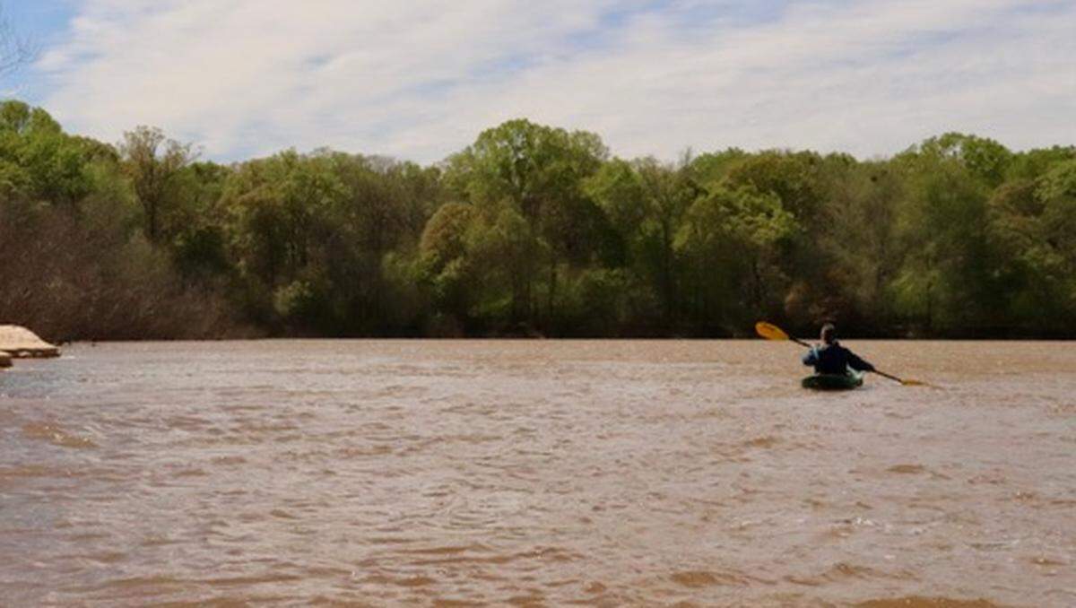 Kayaker James Brown of Bluffton paddles along the remote Altamaha River.