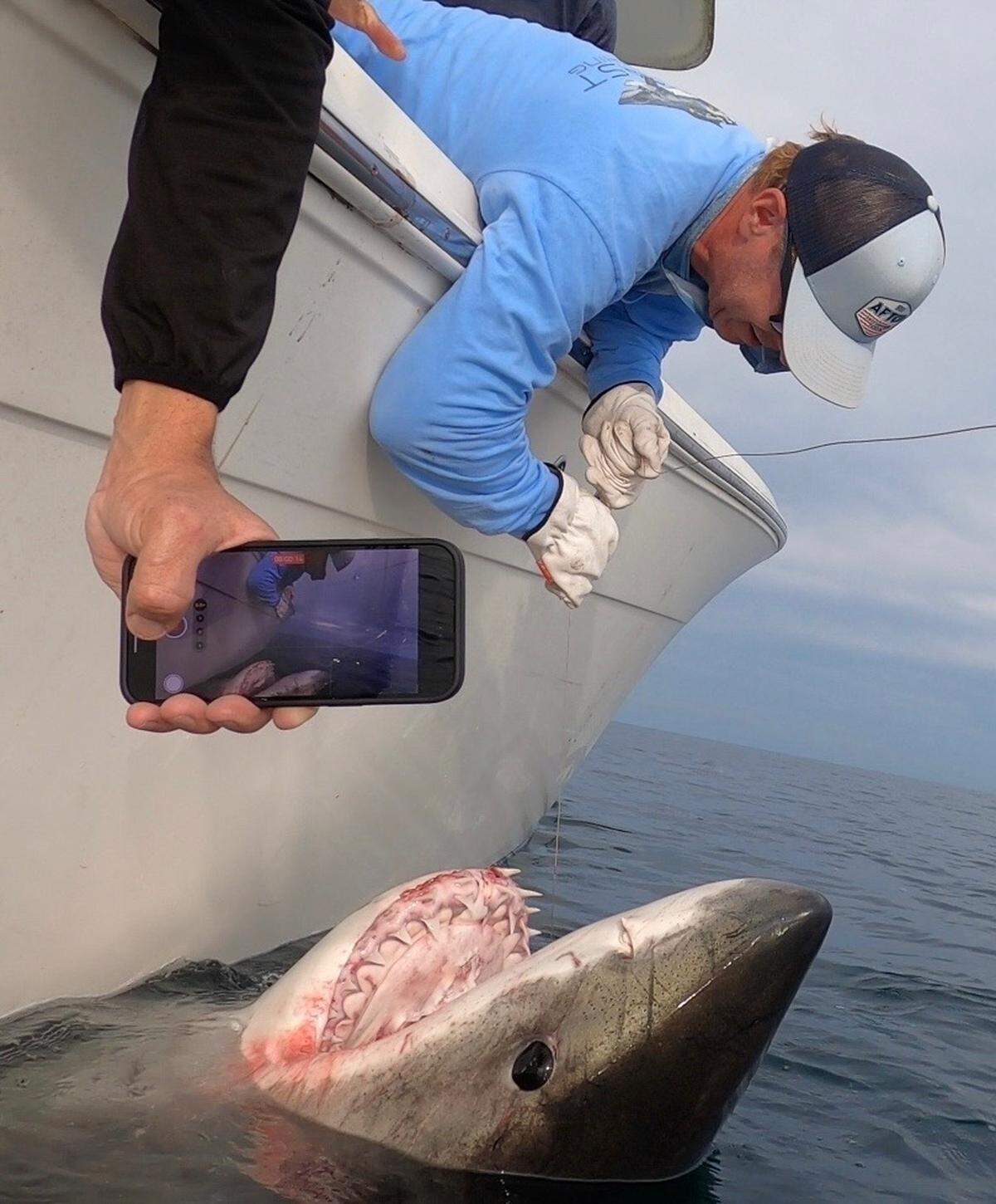 Hilton Head Charter Captain Chip Michalove, along with four others including Megan Winton, a biologist for the Atlantic White Shark Conservancy, tagged and released the “LeeBeth” on Friday, Dec. 8, 2023. She weighed between 2,600 and 2,800 pounds, was about 14 feet long and her journey can be tracked on the Sharktivity app.