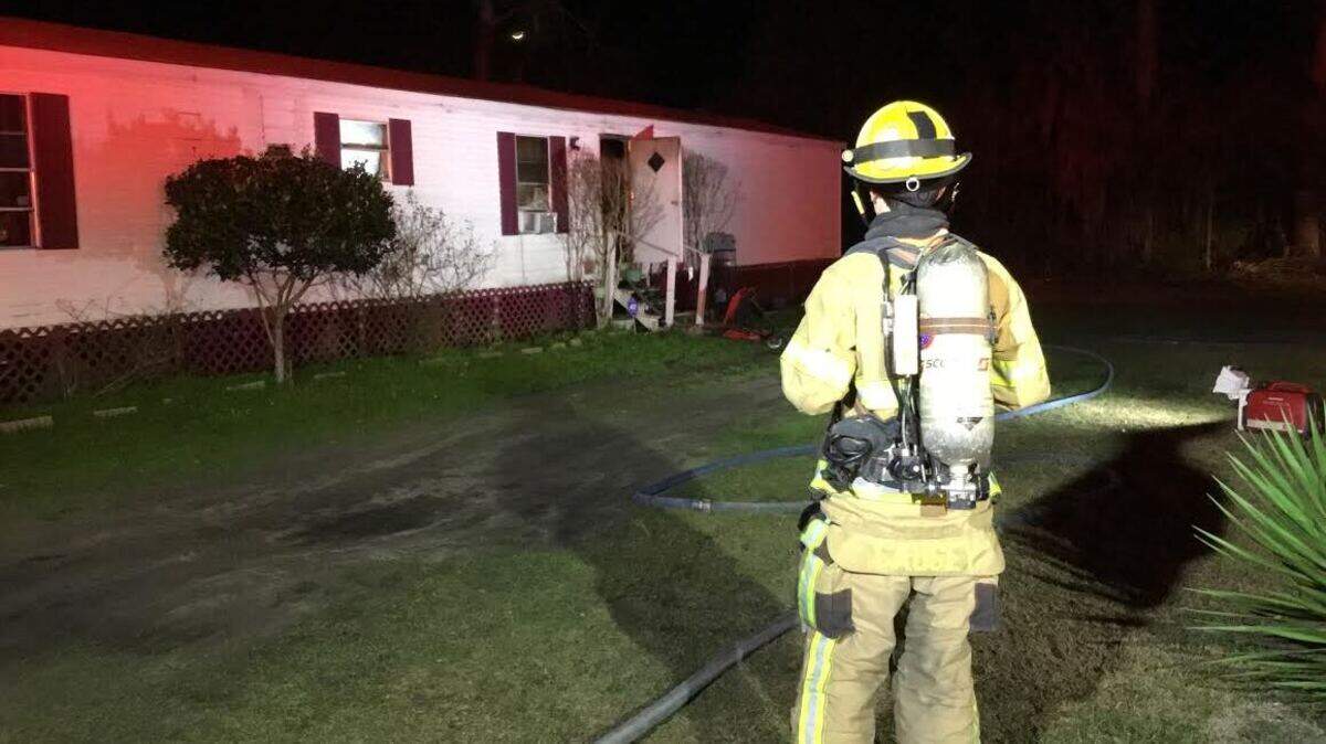 Two dogs were rescued after a kitchen fire at a Burton home on Providence Road was reported Friday night.