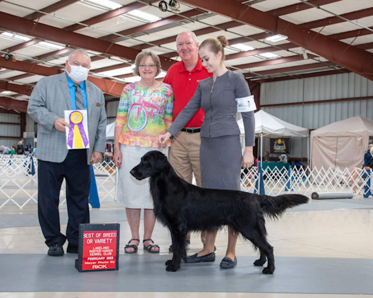 Ruger when he took best of breed in Lakeland, Florida along with his handler Bailee Rodgers (right) Also pictured, from left to right, are the judge, Suzanne Reynolds-Brady and James Brady.