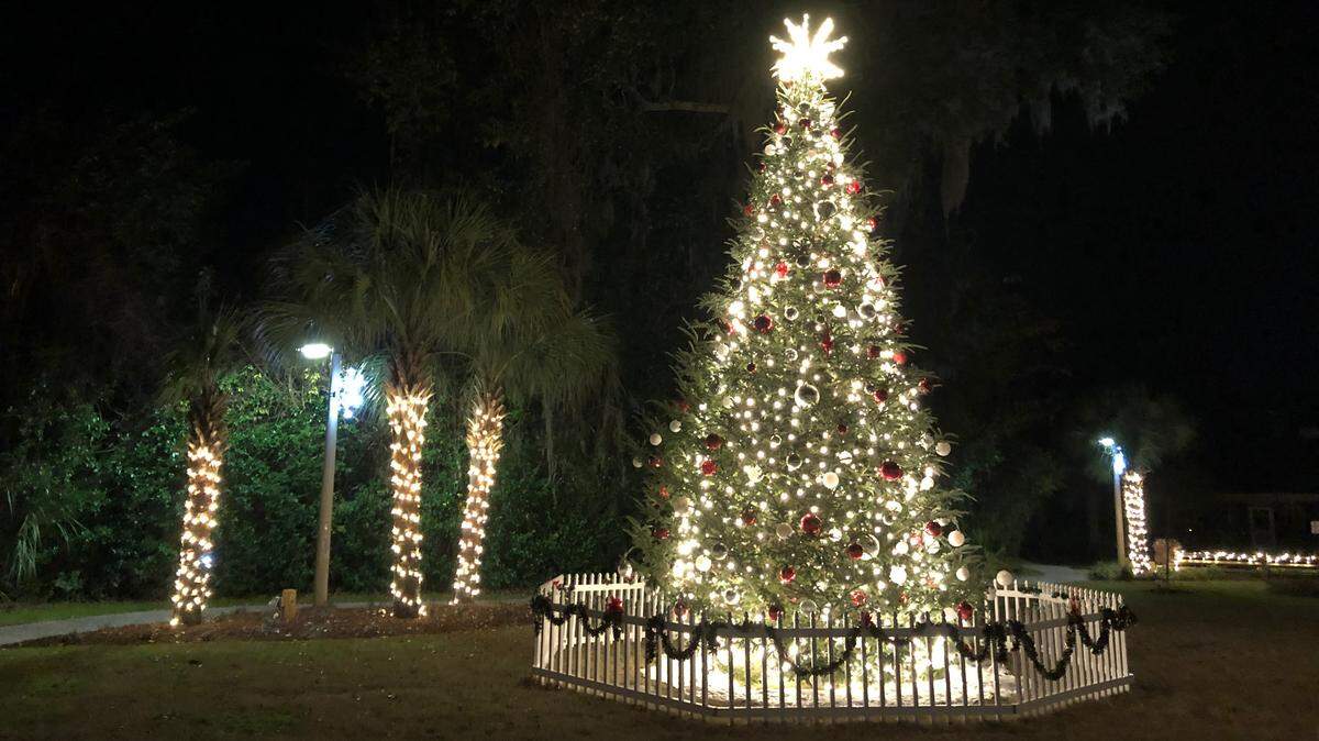 A large Christmas tree is the centerpiece of DuBois Park in Old Town Bluffton.