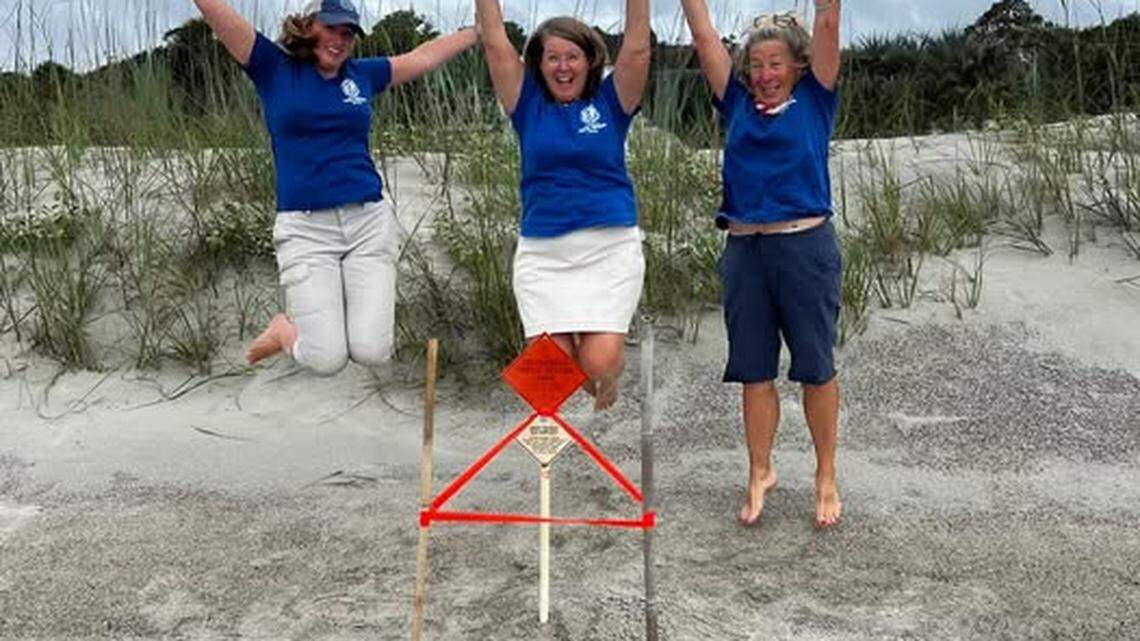 Sea turtles are nesting on Hilton Head again. Here’s how you can help them