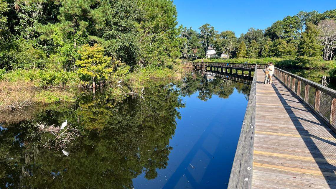 Water is slowly draining from Port Royals’ bird Mecca, Cypress Wetlands. Here’s why