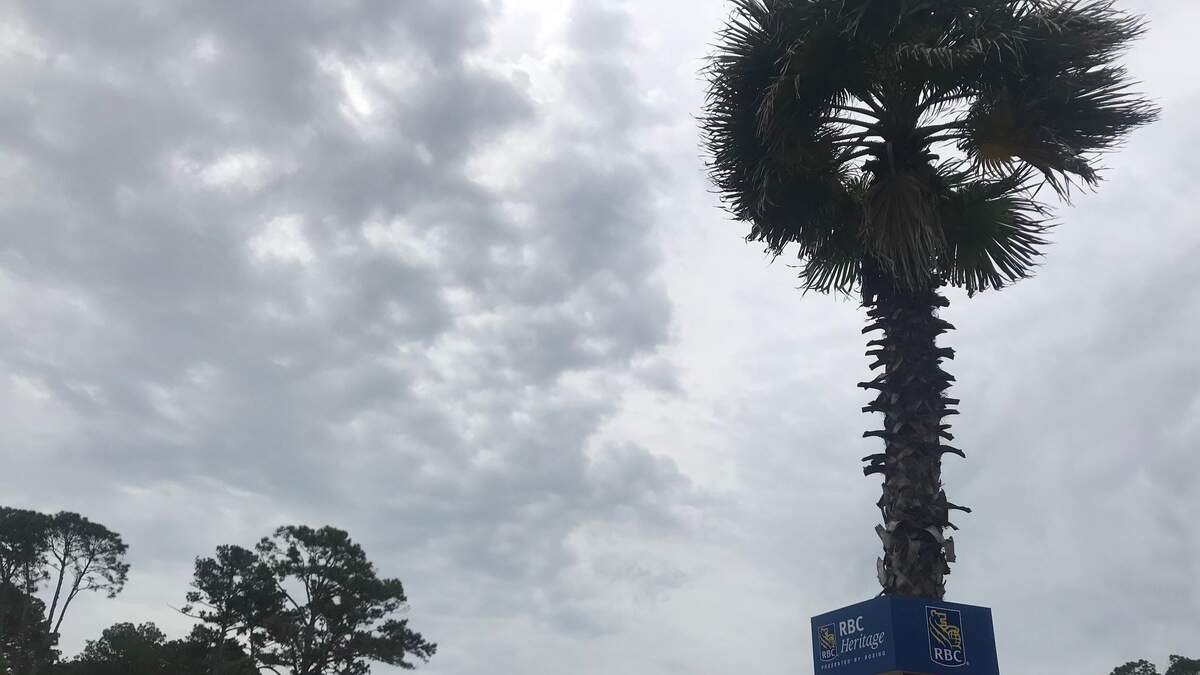 Strong winds blow a palm tree at RBC Heritage on Hilton Head Sunday. April 15, 2018