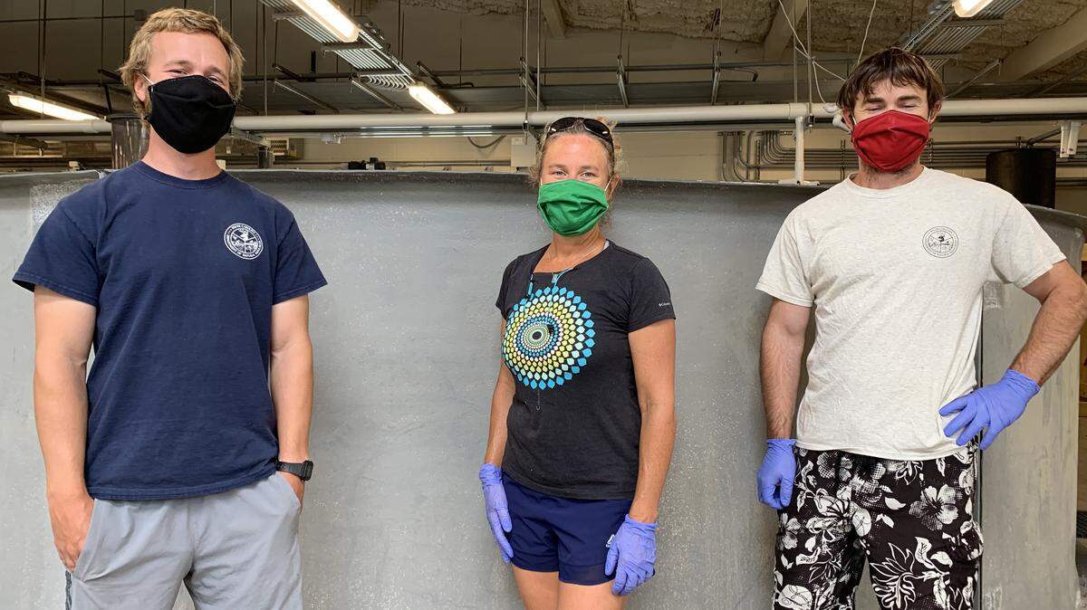 Waddell Mariculture Center staff, from left, Jake Morgenstern, director Erin Levesque and Jason Broach.