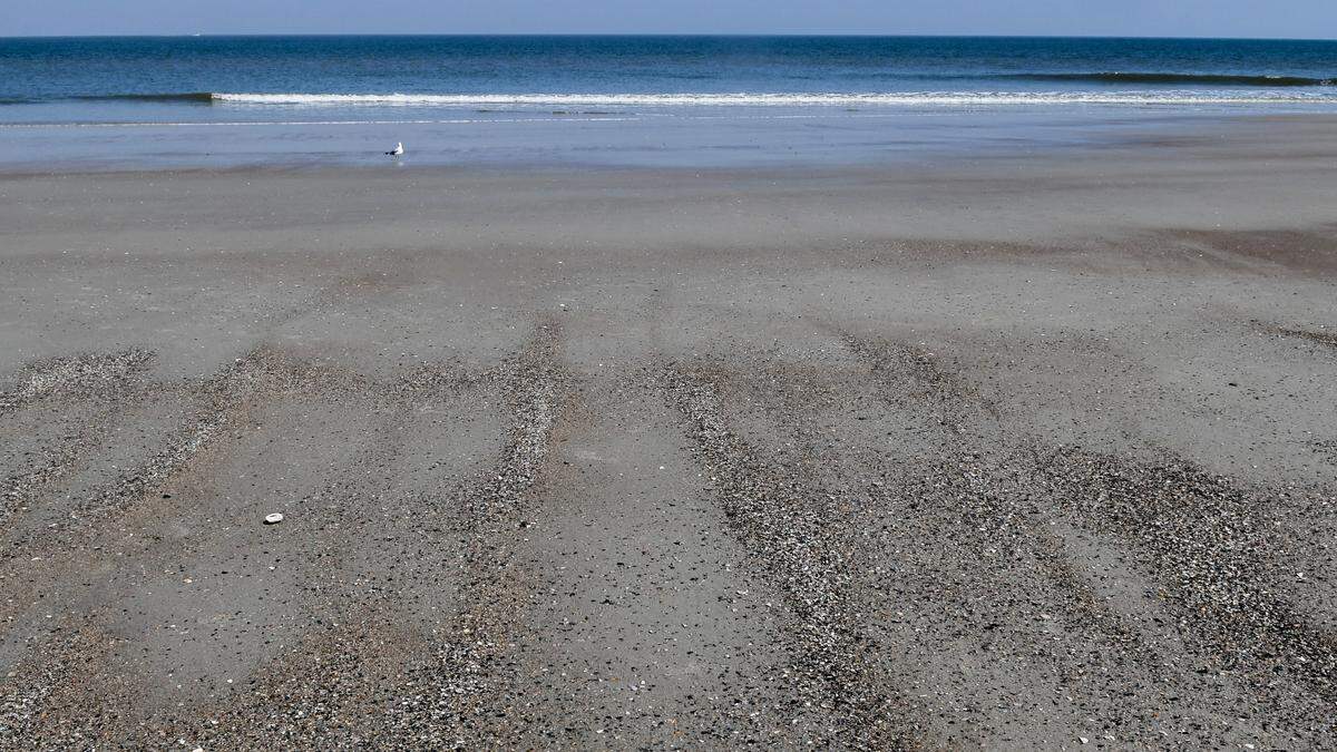 South Carolina State Park Service rangers explain how beach combers at Hunting Island State Park should look for these pillars of sediment to start their quest to find shark teeth.