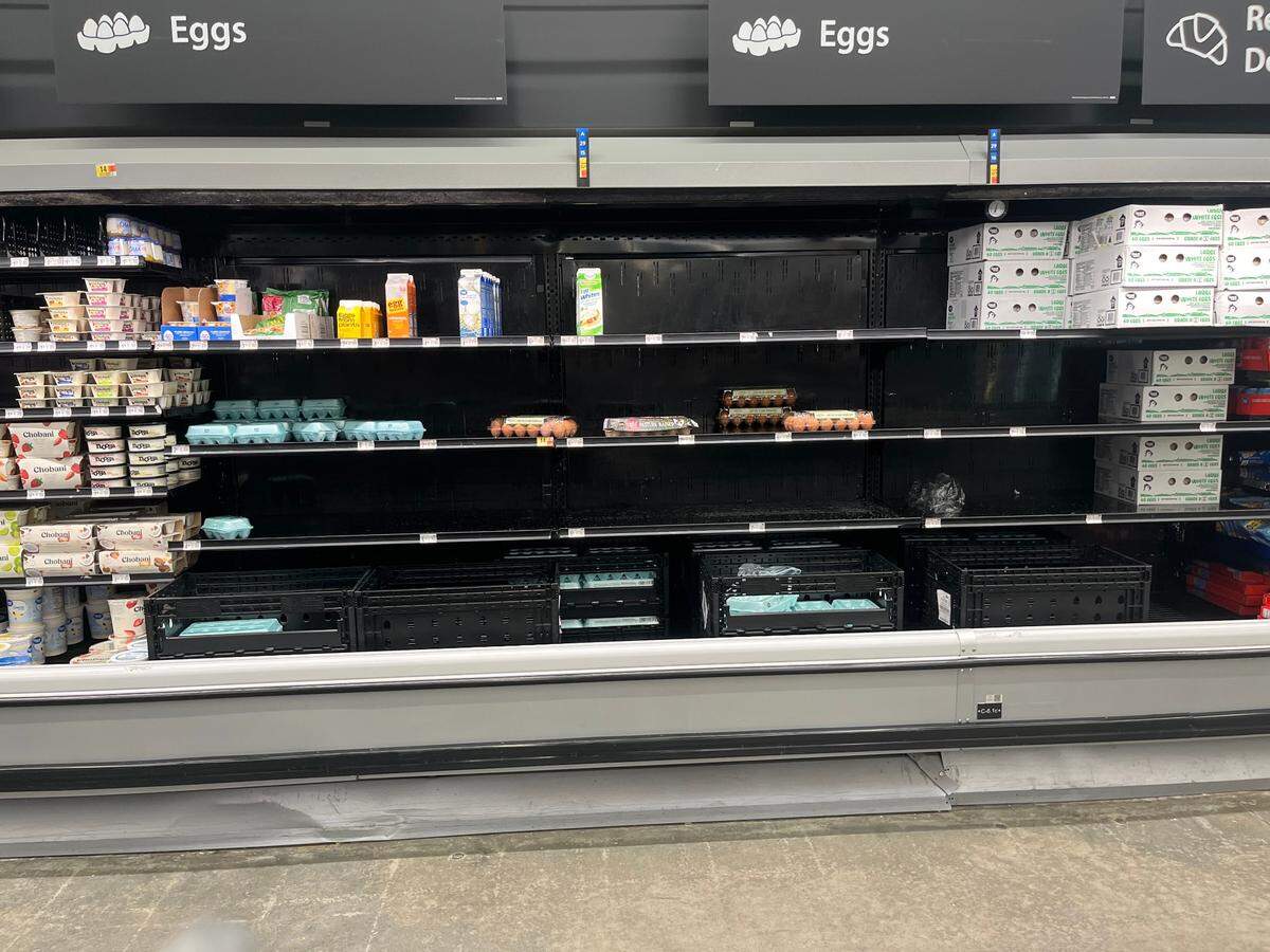 Egg shelves at Walmart in Beaufort County