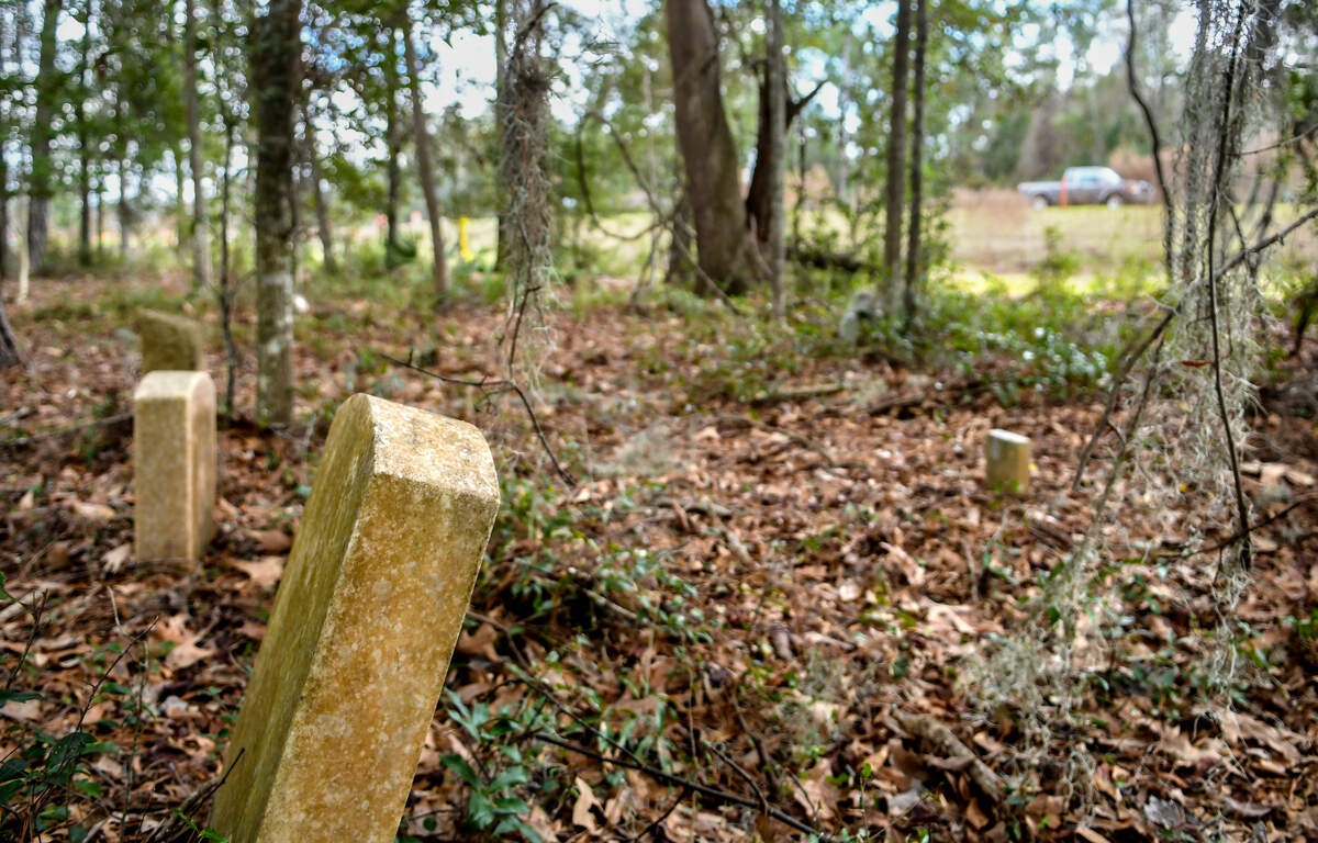 A number of headstones rise from the forested area along SC 170 north of the SC 46 traffic circle as seen on Wednesday, Jan. 15, 2020 within a commercial area of Bluffton’s Cypress Ridge master plan. The developer of the commercial and residential neighborhood unearthed three additional grave sites about 200 yards northeast of the graveyard known as Pritchardville Cemetery.