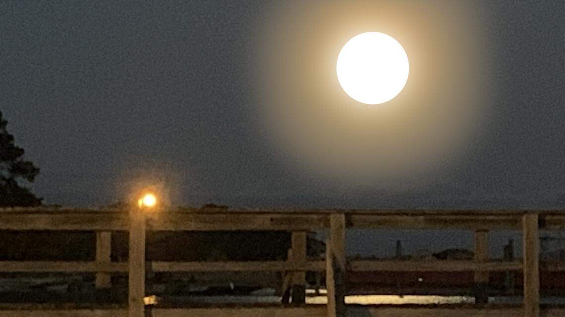 ‘Blood moon’ or ‘Worm moon’? What that giant orb over the Lowcountry means to fishing