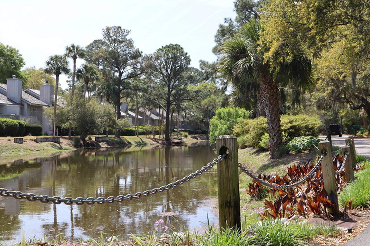 Almost every home in Sea Pines’ Beach Lagoon neighborhood adjoins the waters of a lagoon. Many sections of the lagoon shoreline are not fenced, although infrastructure in some areas separates the roadway from the water.